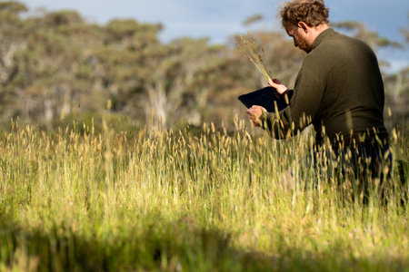 soil scientist agronomist farmer looking at soil samples and grass in a field in spring. looking at...