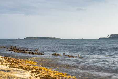 flat rocky coastline by the ocean in australiaの写真素材