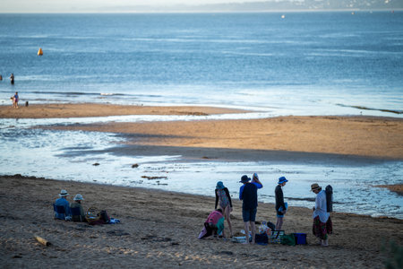 sandy beach with familys swimming at dusk on phillip island australia