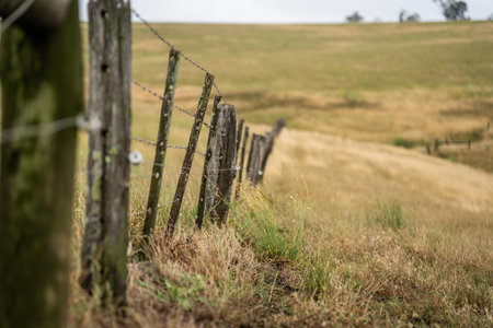 electric wire fence on a wooden pine post fence post on a farm in australia in springの写真素材