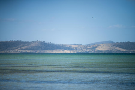 tasmanian beach island landscape across the ocean in summer