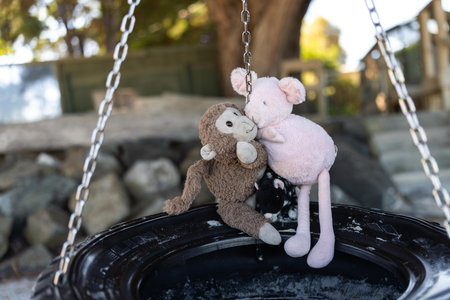 stuffed animal toys swinging on a tyre swing on the  beach in summerの写真素材