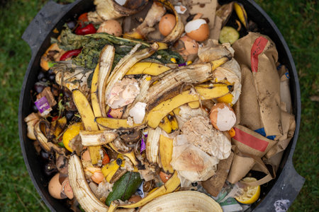 vegetable waste in a compost bin with worms breaking them down in australia