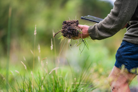 agronomist on a farm practicing agronomy holding soil, doing soil tests in her home laboratory....