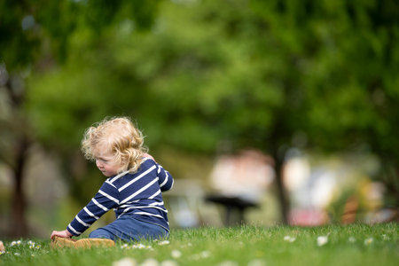 Adorable little girl sitting on grass in park on a sunny dayの写真素材