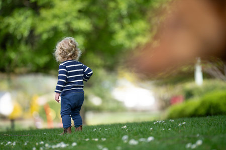 Adorable little toddler boy playing in the garden on beautiful summer dayの写真素材