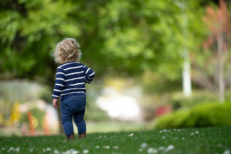 Adorable little toddler boy walking in the park on beautiful summer day.の写真素材
