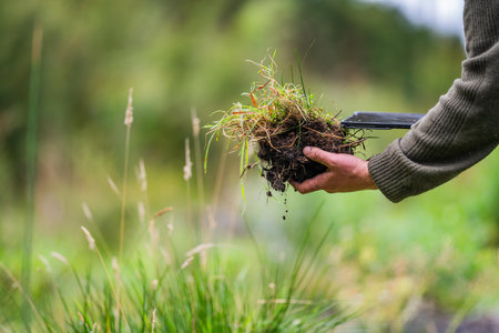 agronomist on a farm practicing agronomy holding soil, doing soil tests in her home laboratory. Looking at soil life and healthの写真素材