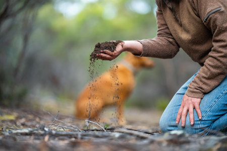 farmer holding soil in hand and pouring soil on ground. connected to the land and environment. soil...
