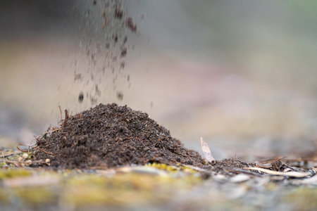 soil scientist agronomist farmer looking at soil samples and grass in a field in spring. looking at...