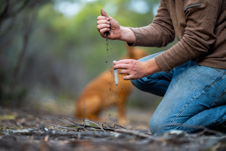 soil scientist agronomist farmer looking at soil samples and grass in a field in spring. looking at...