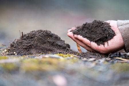 soil scientist agronomist farmer looking at soil samples and grass in a field in spring. looking at...