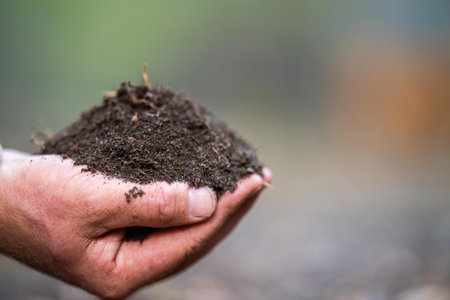 farmer holding soil in hand and pouring soil on ground. connected to the land and environment. soil...