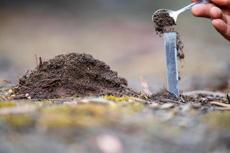 taking a soil sample for a soil test in a field. Testing carbon sequestration and plant health in...
