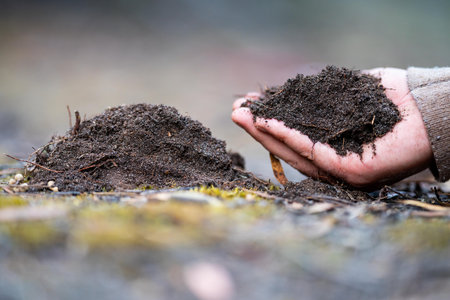 farmer hold soil in hands monitoring soil health on a farm.