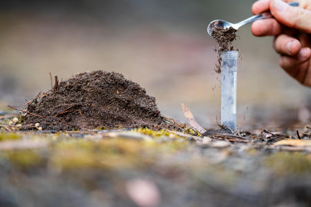 taking a soil sample for a soil test in a field. Testing carbon sequestration and plant health in...
