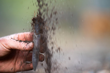 farmer hold soil in hands monitoring soil health on a farm.
