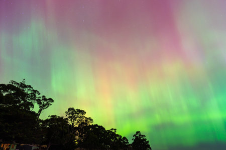 Aurora borealis, northern lights in the sky over the forestの写真素材
