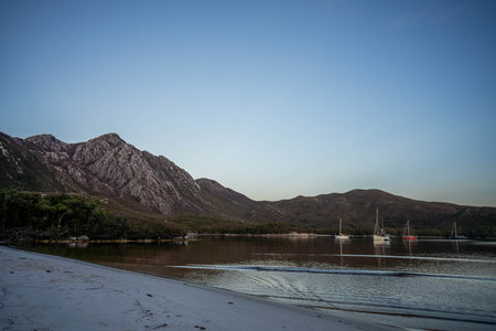 mountains in a wilderness in a national park with native plants and trees in a rainforest in Australia, forest growing in a national park in Tasmania. with rivers and exploringの写真素材