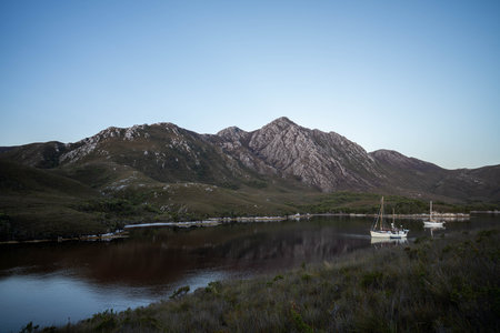 mountains in a wilderness in a national park with native plants and trees in a rainforest in Australia, forest growing in a national park in Tasmania. with rivers and exploringの写真素材