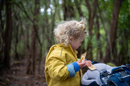 mountains in a wilderness in a national park with native plants and trees in a rainforest in...