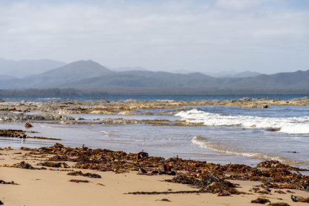 sailing on a yacht in the australian in the remote forest wilderness in spring in australia with waves breaking on a beach on the australian coastlineの写真素材
