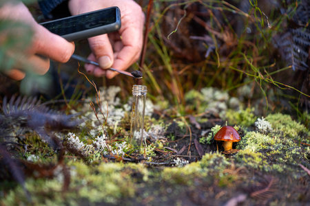 environmental scientist taking a sample in the forest looking at fungi and soil and plants in...