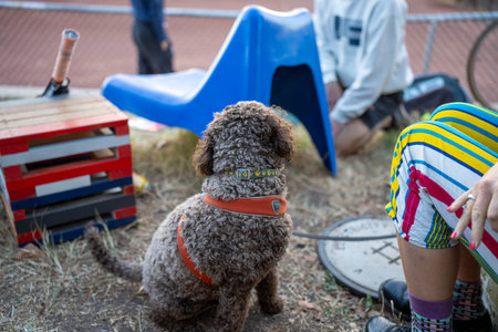 Participants of Vilnius Boat Carnival.の写真素材