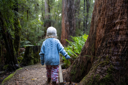 toddler hiking in the forest in winter wearing a beanie, walking on a trail in the australian bush....