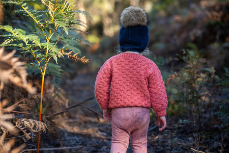 toddler walking  in the wild forest together walking in a park in australia in springの写真素材