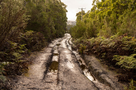 muddy dirt road in off the trackの写真素材