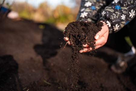 turning a compost pile in a community garden. compost full of microorganisms. sustainable regenerative agriculture with a soil sample in australiaの写真素材