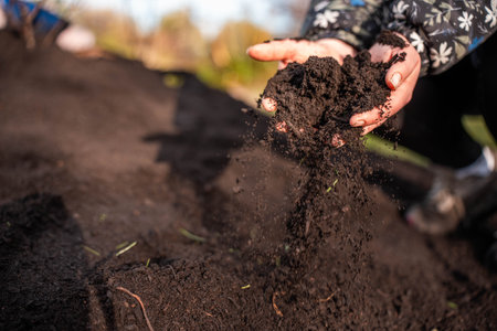 scientist researcher studying soil and forest health effects from climate change. university student research on bush soil structure and biology diversity. holding a soil sample in hand holdingの写真素材