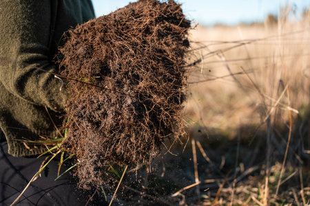 A man holds a pile of dry grass in his hands. Close-up.