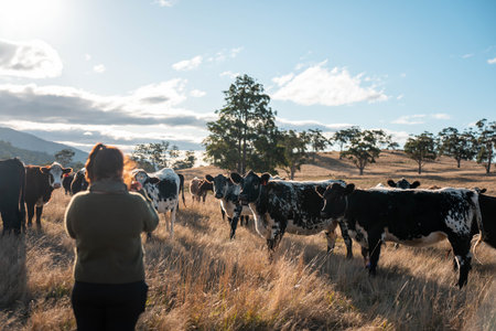 women in agriculture regenerative organic farmer, taking soil samples and looking at plant growth in...