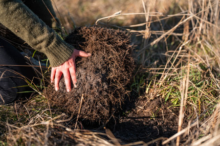 Close-Up of Human Hands Protecting and Nurturing Dark, Organic Soil. Representing Environmental Conservation, Gardening, Crop Cultivation, and the Foundation of Lifeの写真素材