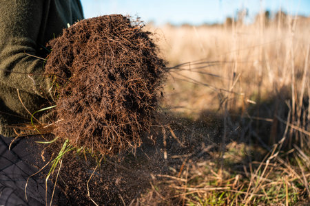Close-Up of Human Hands Protecting and Nurturing Dark, Organic Soil. Representing Environmental Conservation, Gardening, Crop Cultivation, and the Foundation of Lifeの写真素材