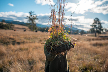 soil scientist agronomist farmer looking at soil samples and grass in a field in spring. looking at growth of plants and soil healthの写真素材