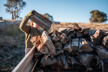 female famer Loading Firewood on a ute Preparing for Winter with Sustainable Home Heating....