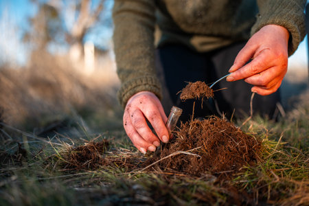 soil scientist agronomist farmer looking at soil samples and grass in a field in spring. looking at...