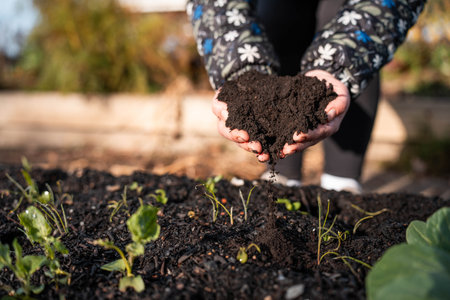 turning a compost pile in a community garden. compost full of microorganisms. sustainable...