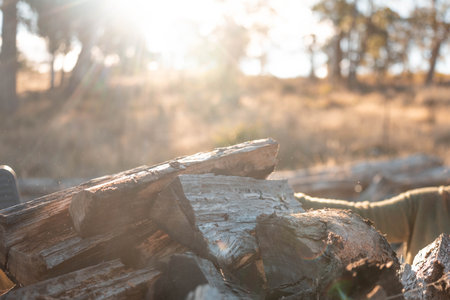 female famer Loading Firewood on a ute Preparing for Winter with Sustainable Home Heating....
