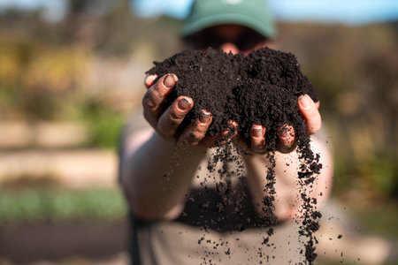 farmer collecting soil samples in a test tube in a field. Agronomist checking soil carbon and plant health on a farm with a microscope soil testの写真素材
