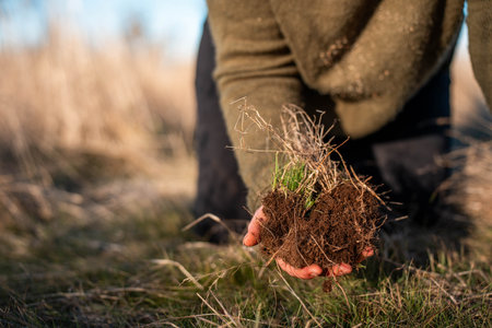 regenerative organic farmer, working with cows on a cattle farm in the yards and field while also...