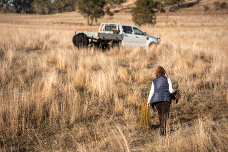 Two Women Capturing Photos of Cattle in a Sunny Australian Pasture. Showcasing Agri-tourism, Modern...
