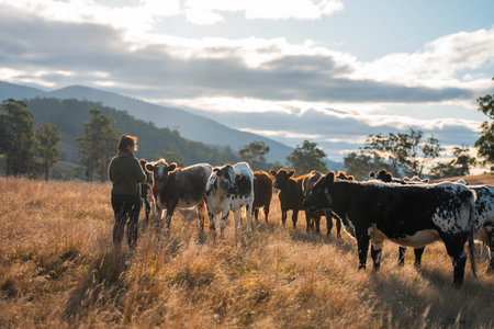 Two Women Capturing Photos of Cattle in a Sunny Australian Pasture. Showcasing Agri-tourism, Modern...