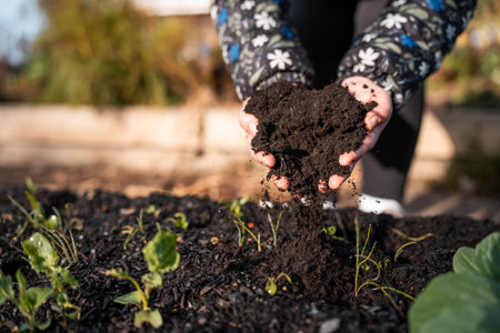 regenerative organic farmer, taking soil samples and looking at plant growth in a farm. practicing...