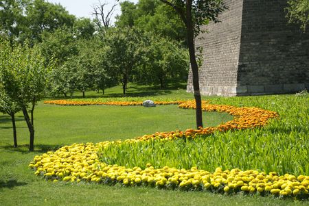 gardenの写真素材