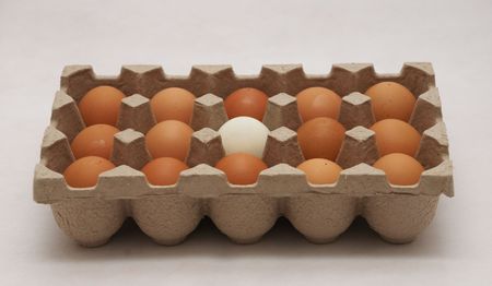 different eggの写真素材