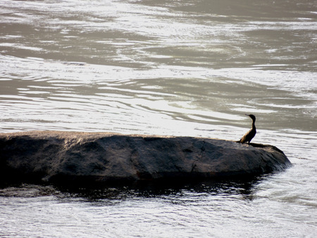 Rio Caroni, Venezuelaの写真素材
